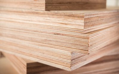 Bauen mit Holz – aktuell noch sinnvoll?